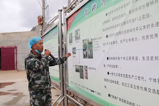 科技賦能，服務(wù)引領(lǐng) 技術(shù)推廣在脫貧攻堅(jiān)與農(nóng)民增收中的核心作用